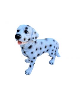 STOJĄCY DALMATYŃCZYK - ŚREDNI