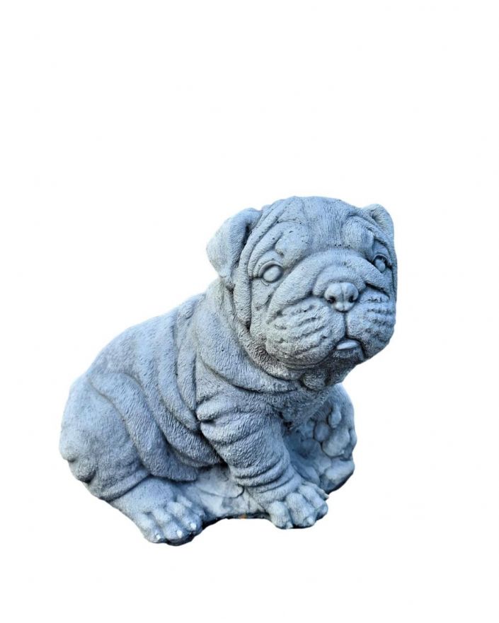 MAŁY BULDOG / MOPS / SHAR PEI