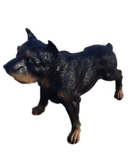 ROTTWEILER STOJĄCY - ŚREDNI