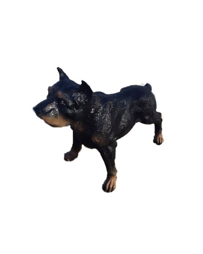 ROTTWEILER STOJĄCY - ŚREDNI