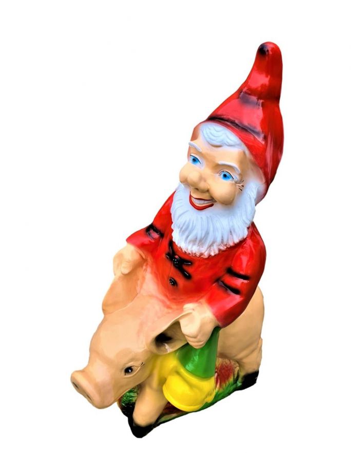 DUŻY KRASNAL NA ŚWINI