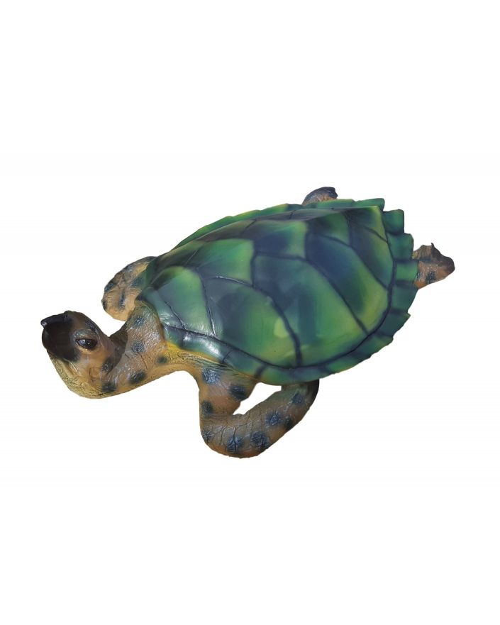 ŻÓŁW WODNY - DUŻY !!!