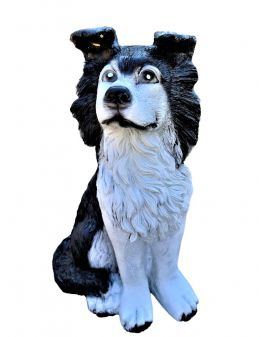 MAŁY SIEDZĄCY OWCZAREK PASTERSKI