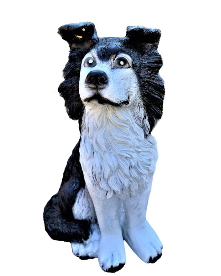 MAŁY SIEDZĄCY OWCZAREK PASTERSKI