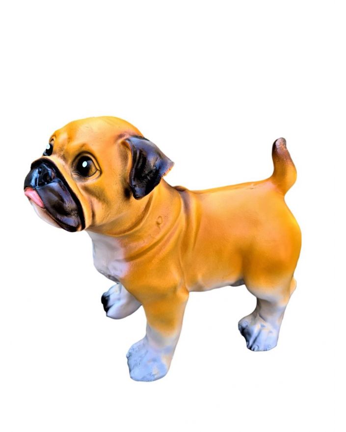 MAŁY STOJĄCY BULDOG FRANCUSKI - szczeniak