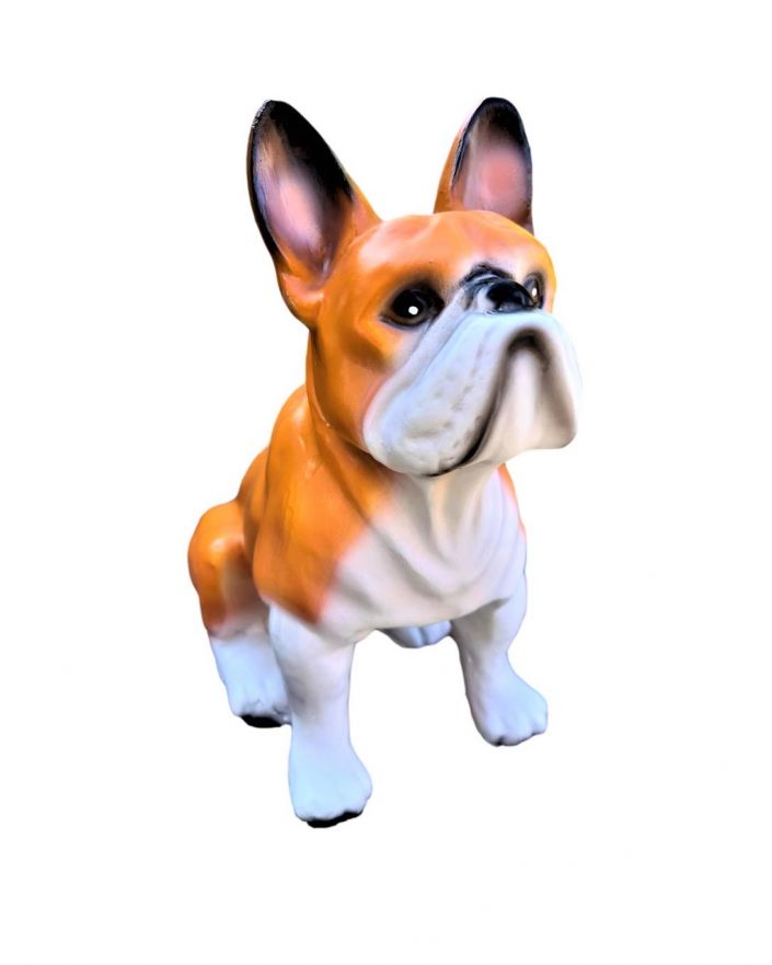 MAŁY SIEDZĄCY BULDOG FRANCUSKI - szczeniak