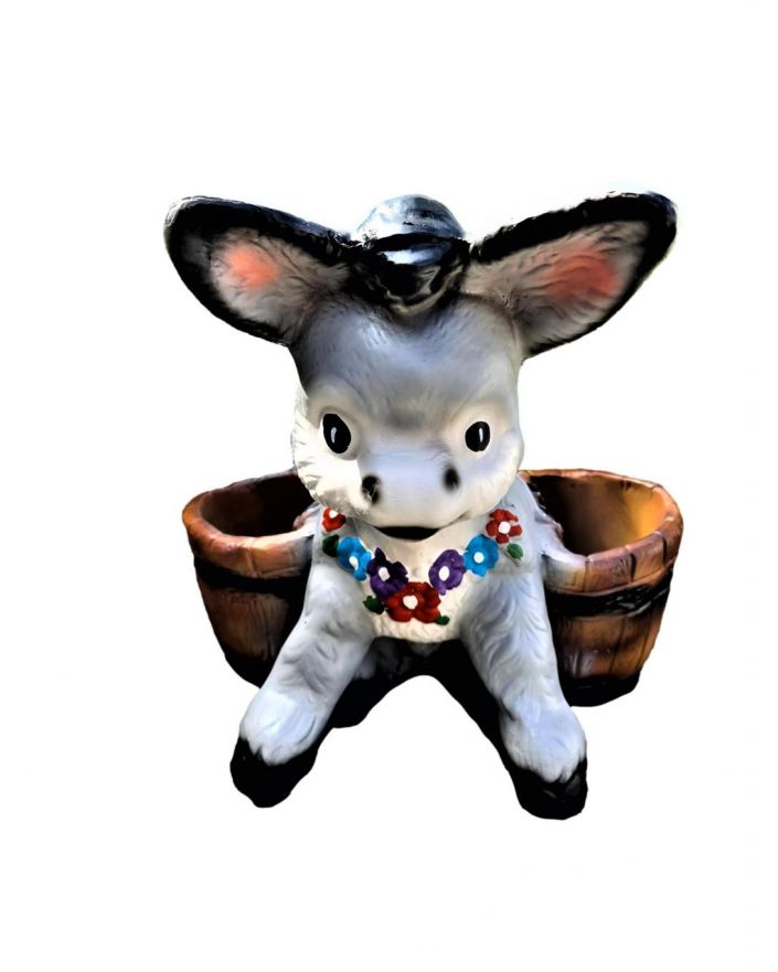 MAŁY OSIOŁEK Z JUKAMI