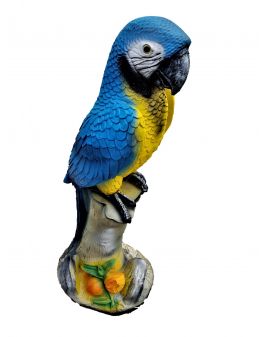 DUŻA PAPUGA NIEBIESKA NA PNIU