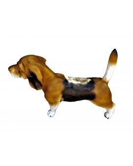 PIES RASY BEAGLE - OGON W GÓRĘ