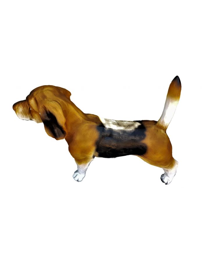 PIES RASY BEAGLE - OGON W GÓRĘ