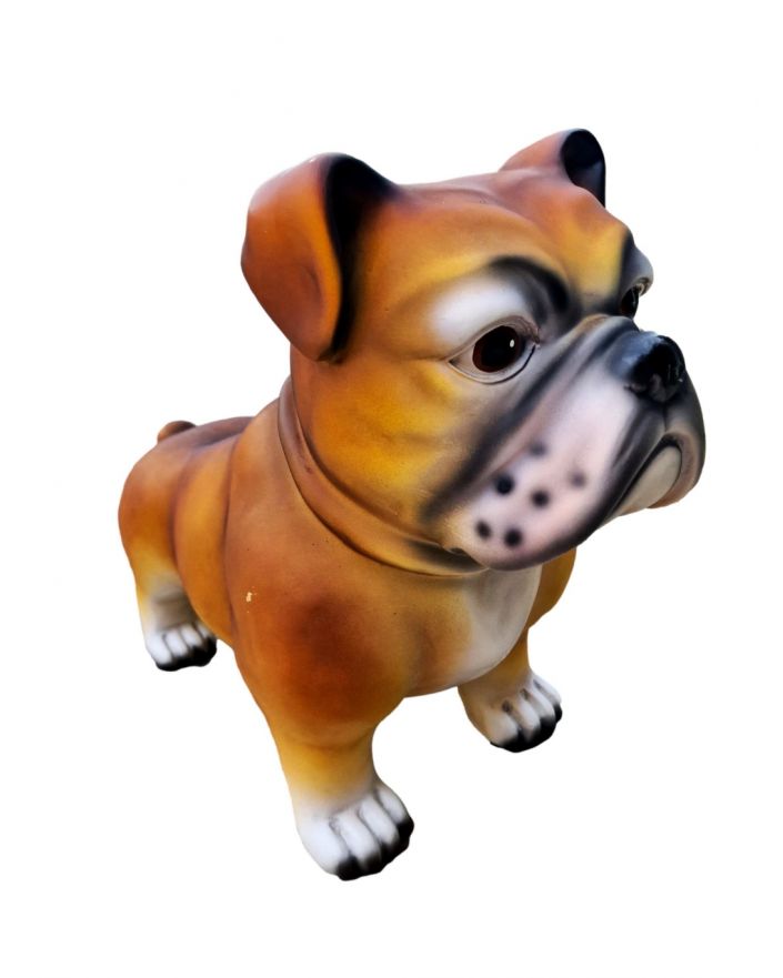 ŚREDNI STOJĄCY BULDOG - naturalny