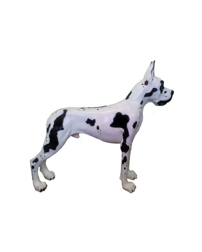 DUŻY STOJĄCY DOG NIEMIECKI