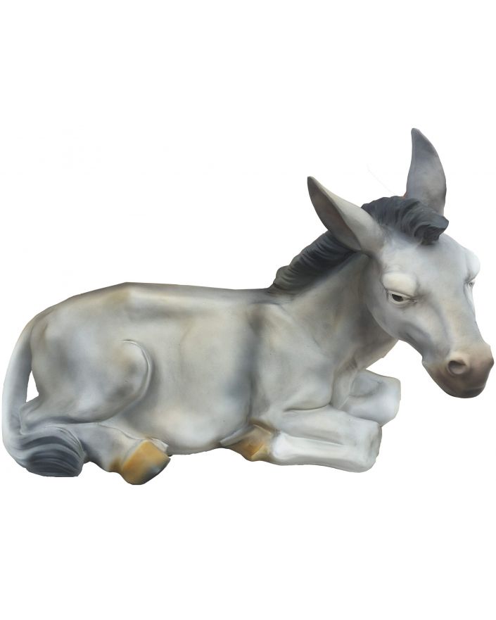 SIWY OSIOŁ LEŻĄCY