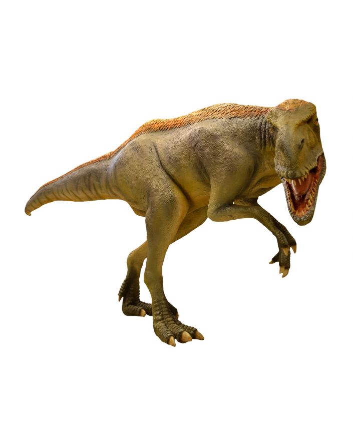 DINOZAUR XXL EOTYRANNUS