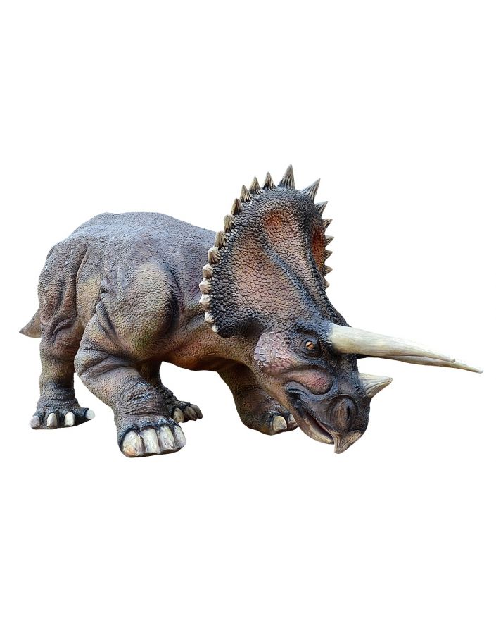 DINOZAUR XXXL TRICERATOPS II