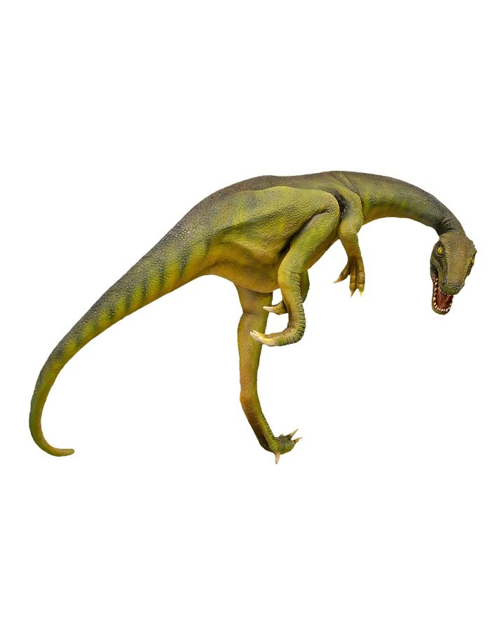 DINOZAUR XXL TROODON