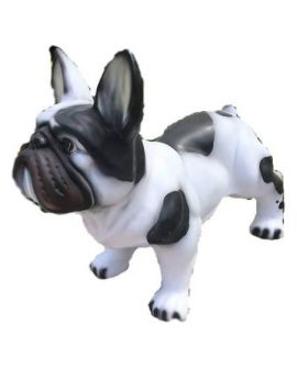STOJĄCY BULDOG FRANCUSKI W ŁATKI