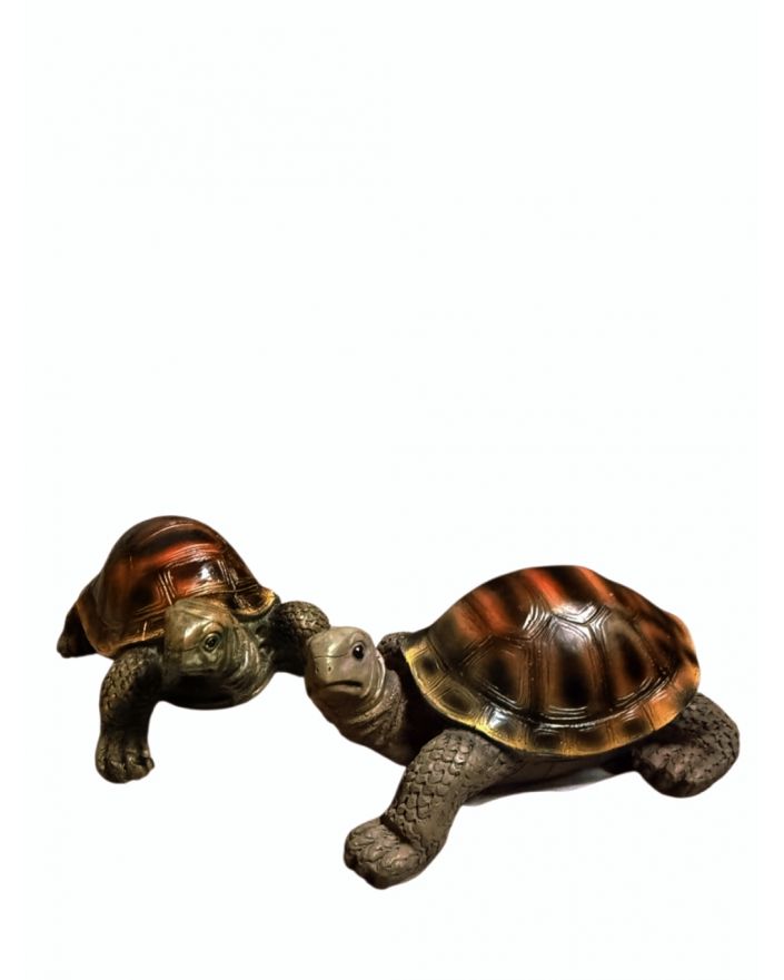 KOMPLET MAŁYCH ŻÓŁWI