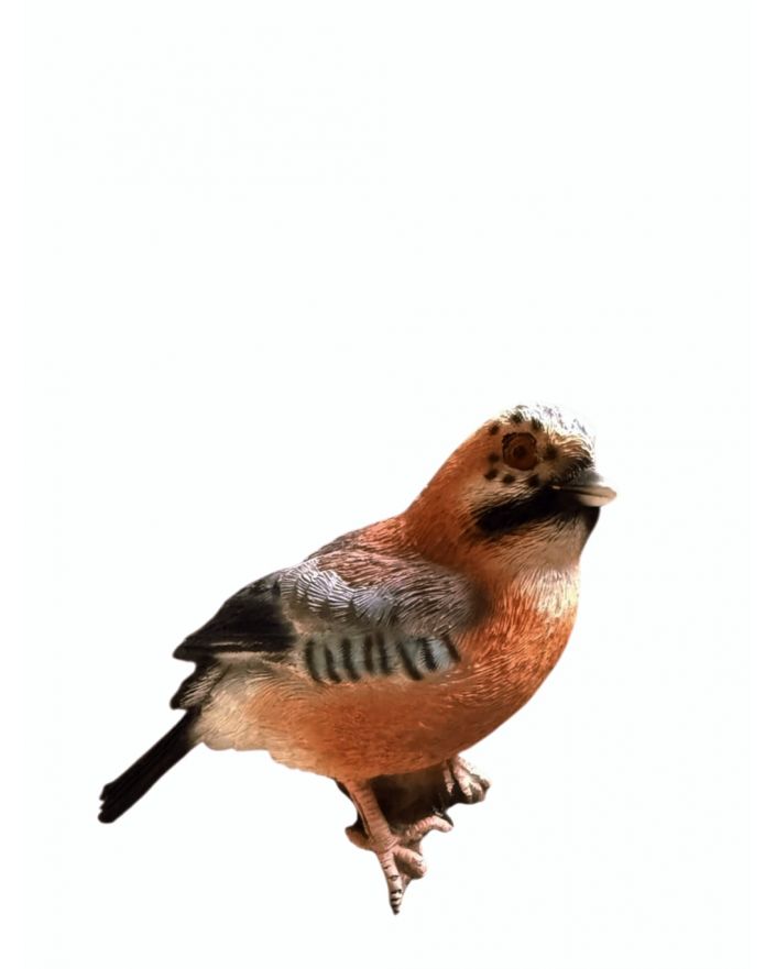 MAŁY PTAK / PTASZEK - SÓJKA