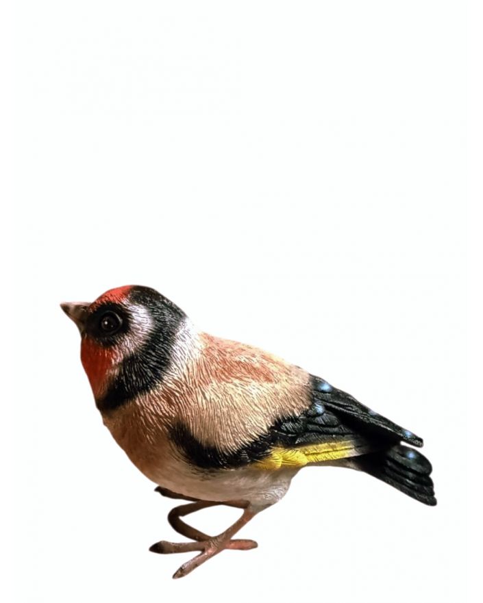 MAŁY PTAK / PTASZEK - SZCZYGIEŁ