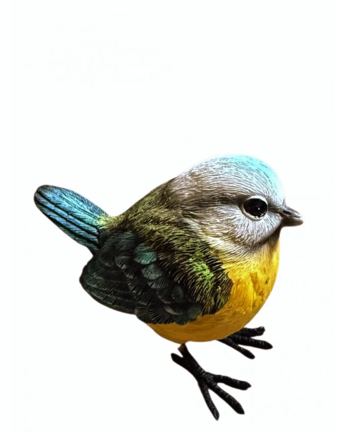 MAŁY PTAK / PTASZEK - SIKORKA