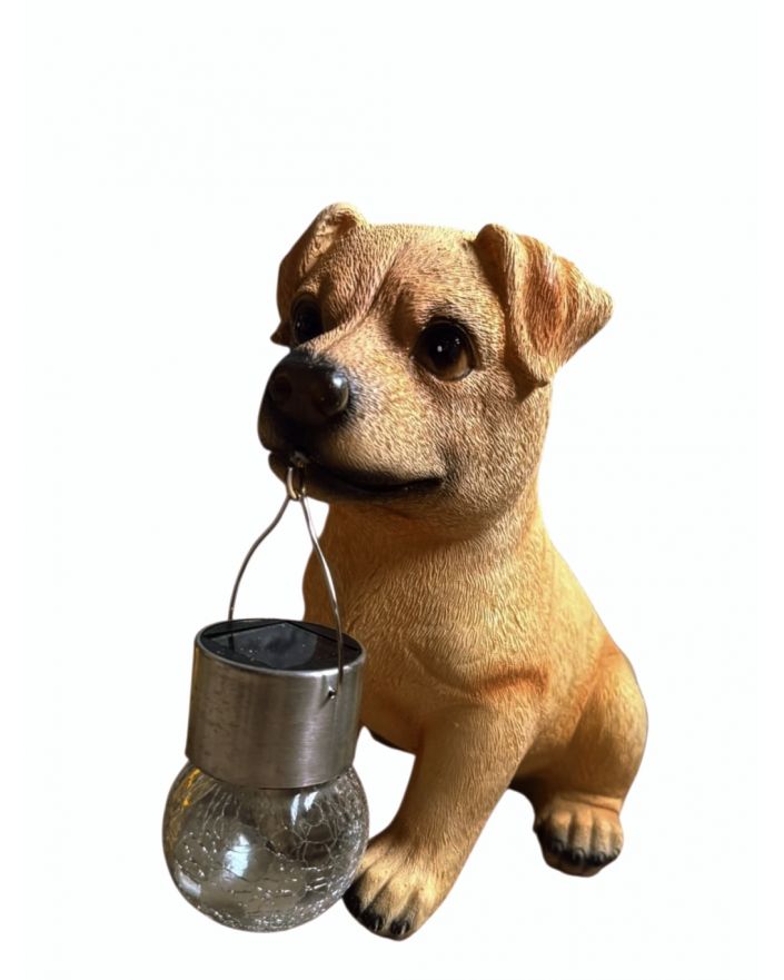 MAŁY SIEDZĄCY BISZKOPTOWY LABRADOR Z LAMPKĄ