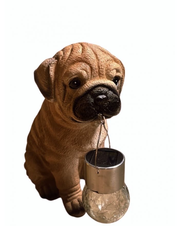 MAŁY SIEDZĄCY BISZKOPTOWY SZCZENIAK MOPSA Z LAMPKĄ