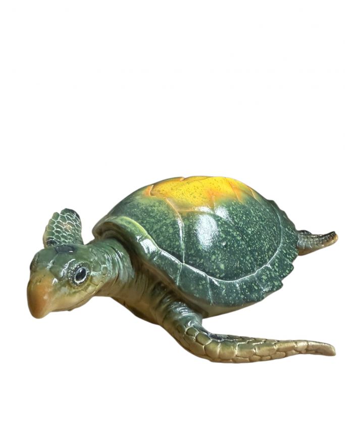 ŚREDNI ŻÓŁW WODNY model II