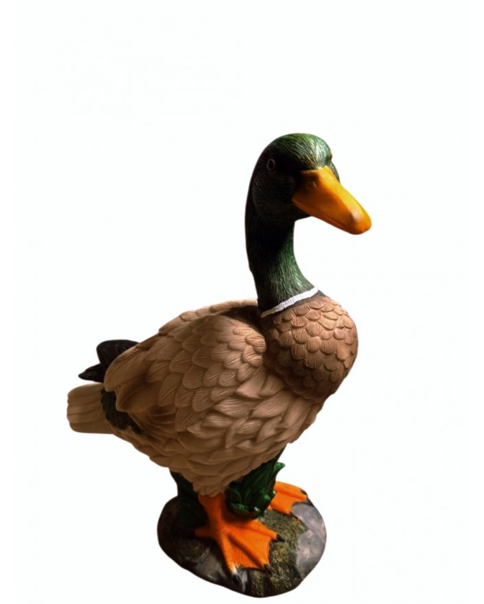 DZIKA STOJĄCA KACZKA KACZOR model Ia