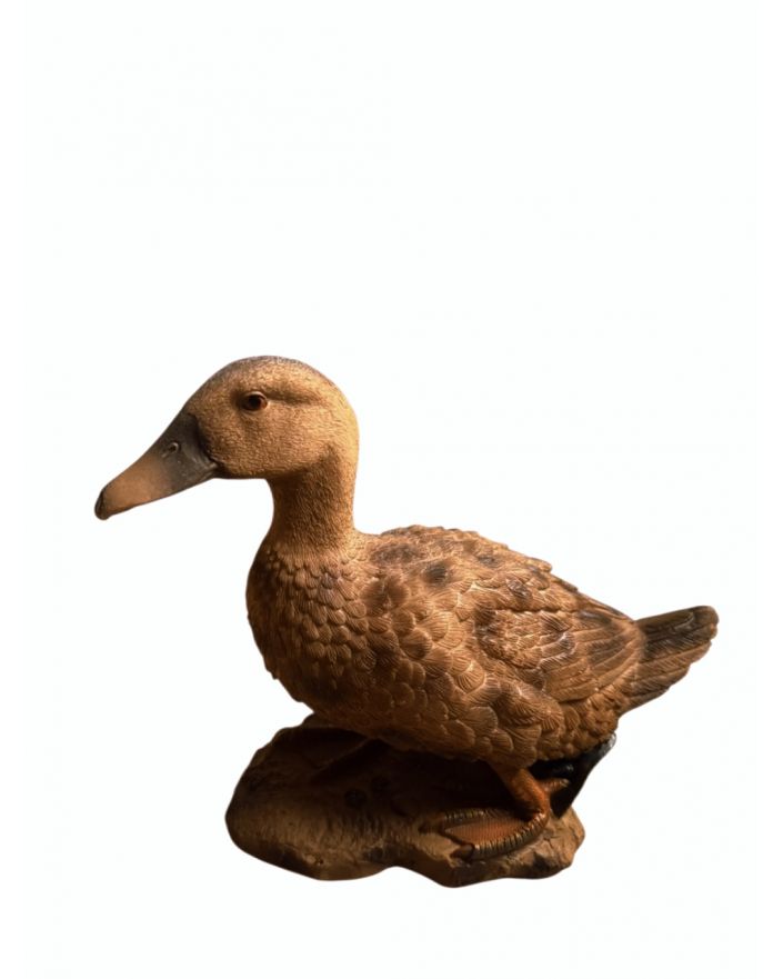 DZIKA STOJĄCA KACZKA KACZOR model IIa
