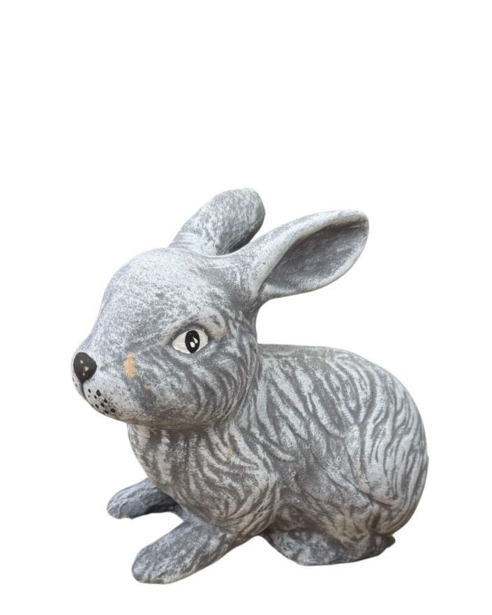 ZAJĄC KRÓLIK SZARAK