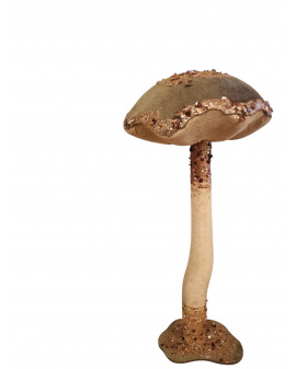 OZDOBA ŚWIĄTECZNA - DUŻY GRZYB GRZYBEK WELUR model I - XL