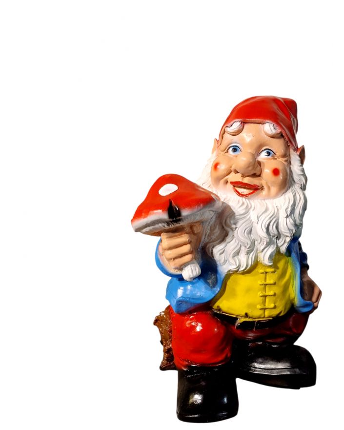 ŚREDNI SKRZAT KRASNAL Z GRZYBKIEM MUCHOMOREM