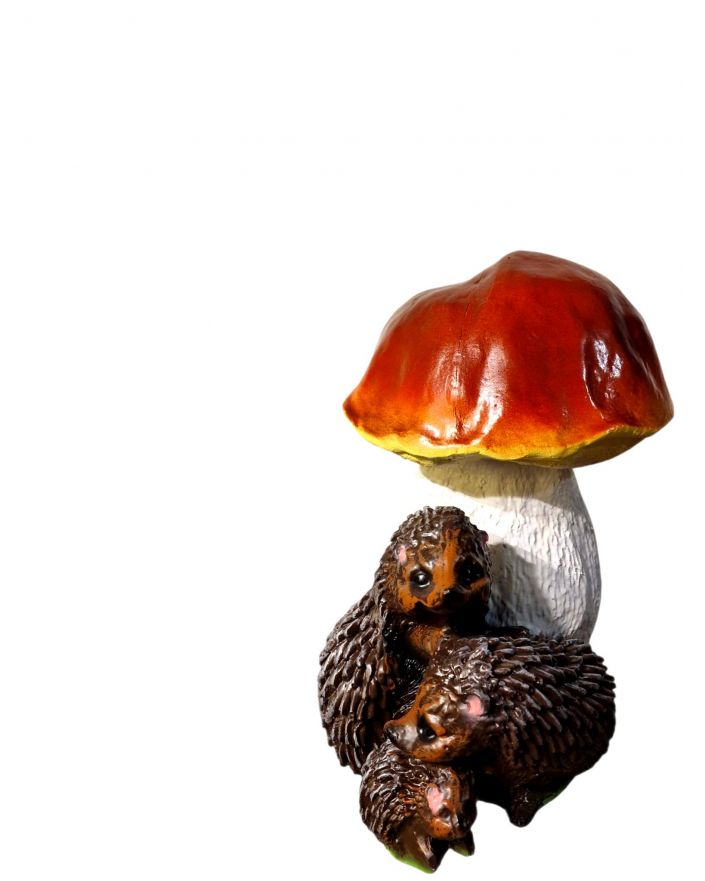 JEŻE POD GRZYBKIEM model V