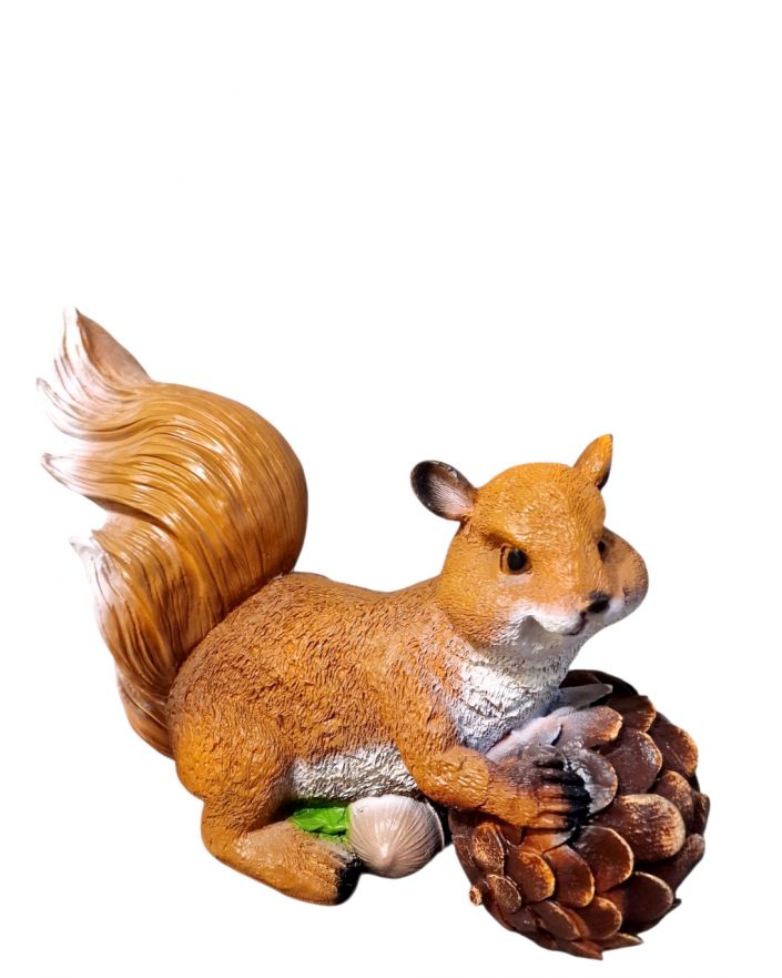 WIEWIÓRKA Z ORZECHEM model V