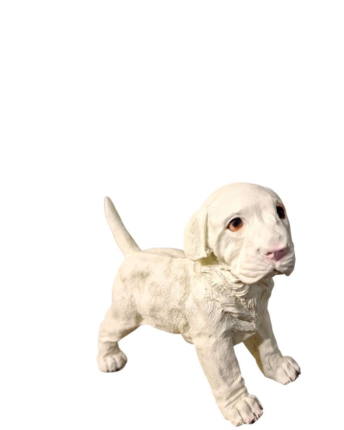 MAŁY STOJĄCY LABRADOR - szczeniak