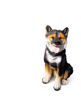 ŚREDNI SIEDZĄCY PIES - HUSKY MALAMUT