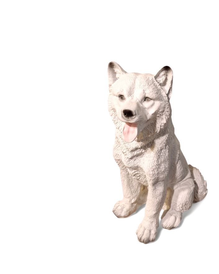 ŚREDNI SIEDZĄCY PIES - SAMOJAD