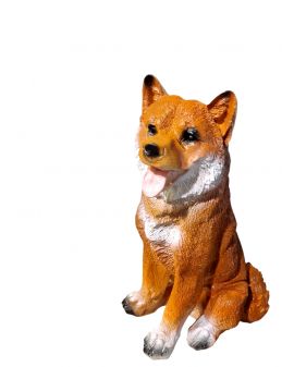 ŚREDNI SIEDZĄCY PIES - AKITA