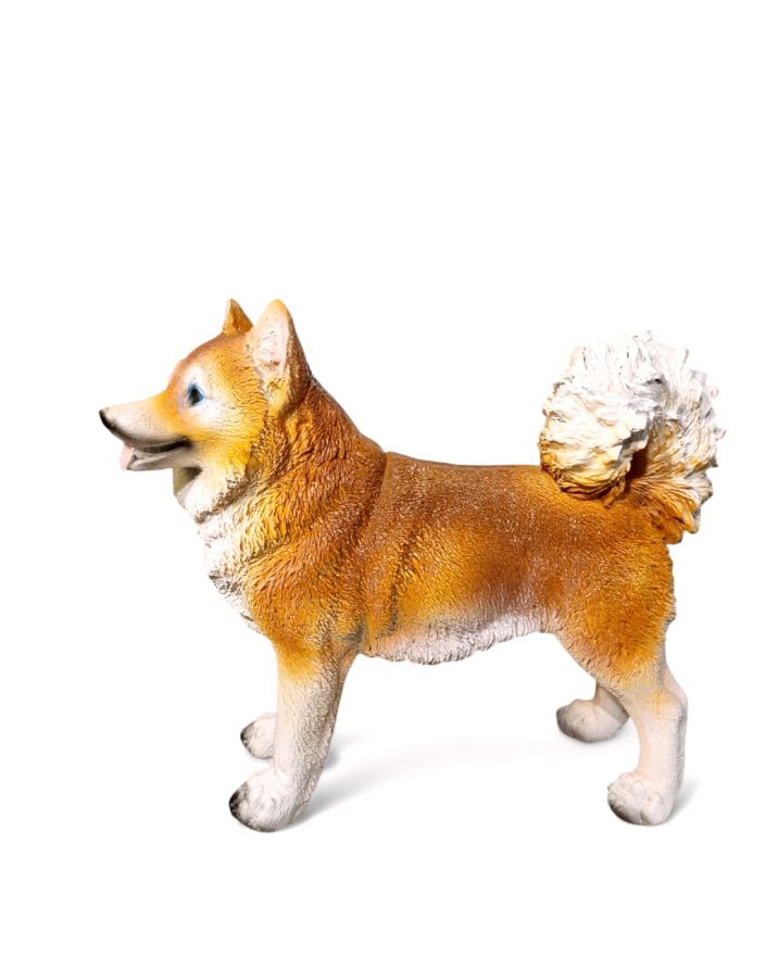 ŚREDNI STOJĄCY PIES - AKITA