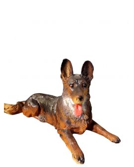 ŚREDNI LEŻĄCY OWCZAREK NIEMIECKI