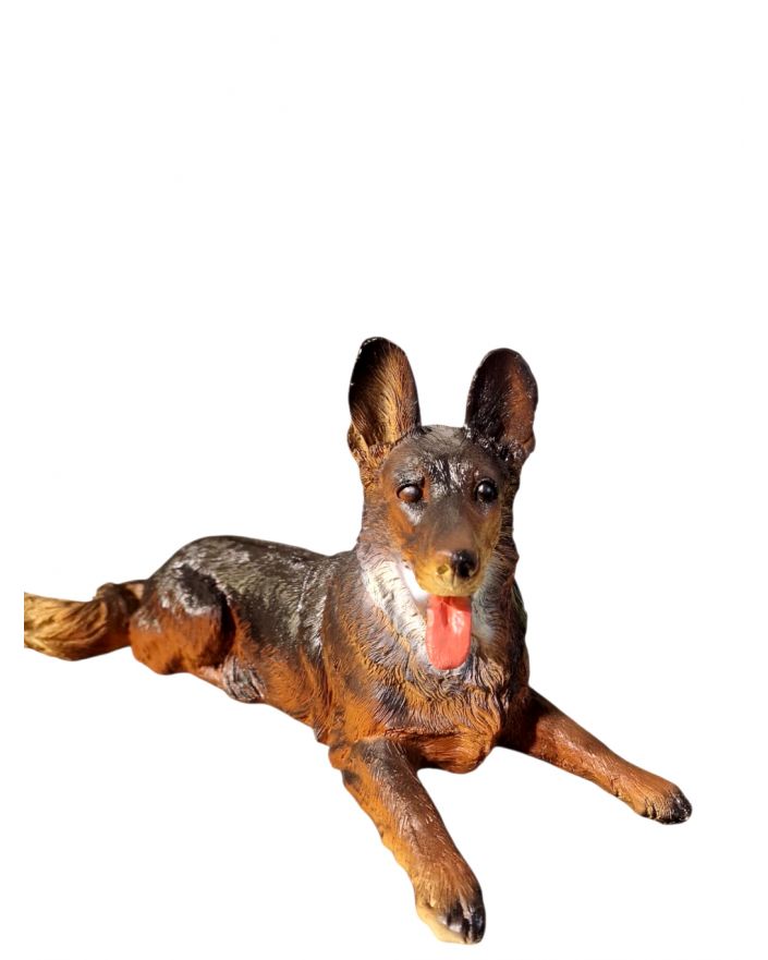 ŚREDNI LEŻĄCY OWCZAREK NIEMIECKI