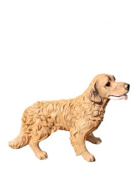 ŚREDNI STOJĄCY PIES - GOLDEN LABRADOR model I