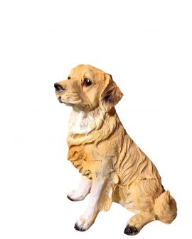 ŚREDNI SIEDZACY LABRADOR biszkoptowy model II