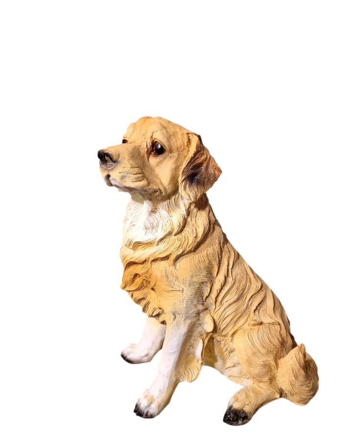 ŚREDNI SIEDZACY LABRADOR biszkoptowy model II