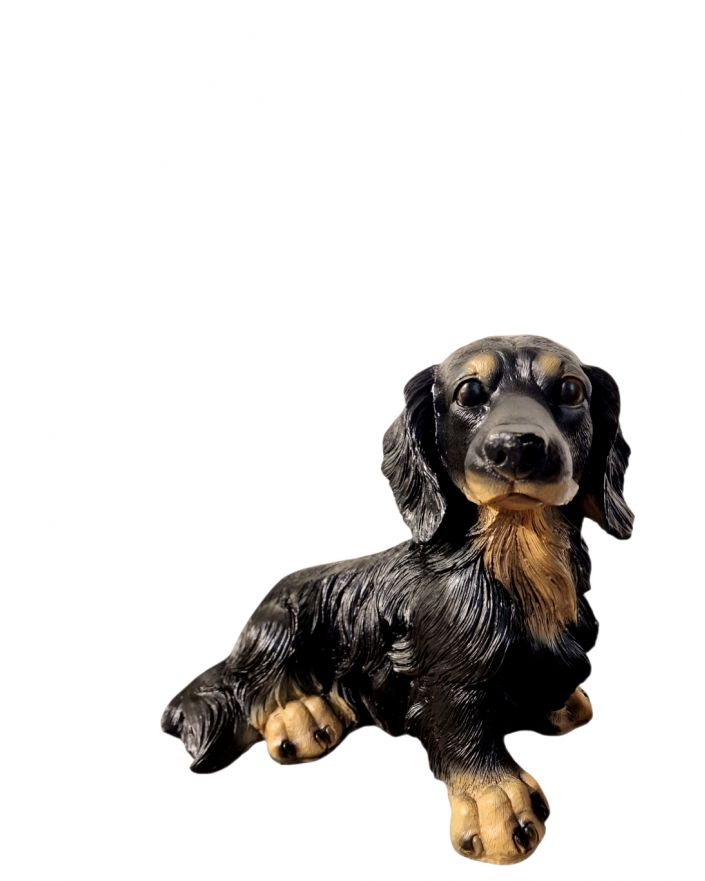 PIES JAMNIK DŁUGOWŁOSY model III