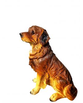 ŚREDNI SIEDZACY LABRADOR brązowy model IIa