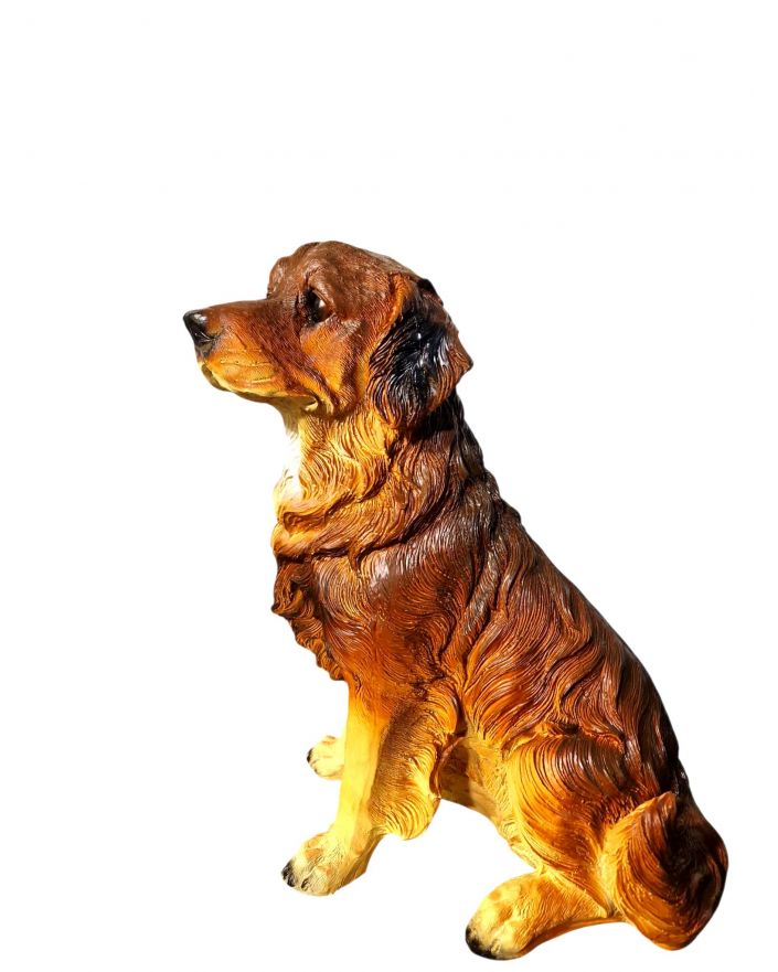 ŚREDNI SIEDZACY LABRADOR brązowy model IIa