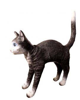 KOT GARB - model IIc