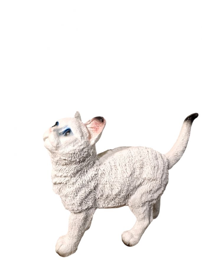 ŚREDNI KOT GARB - model III